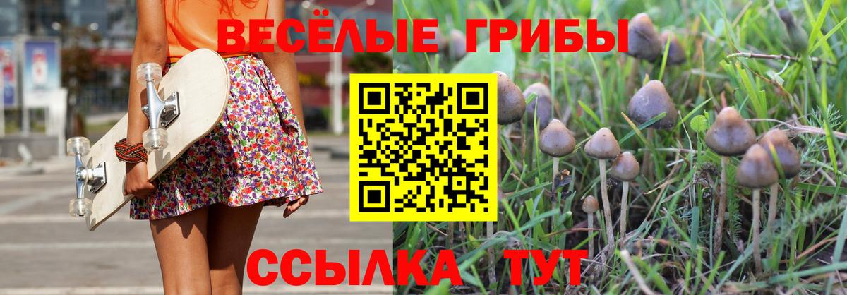 Псилоцибиновые грибы мухоморы  Вход с VPN  Людиново 