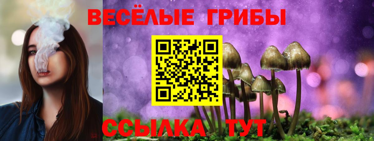 Галлюциногенные грибы Magic Shrooms Людиново